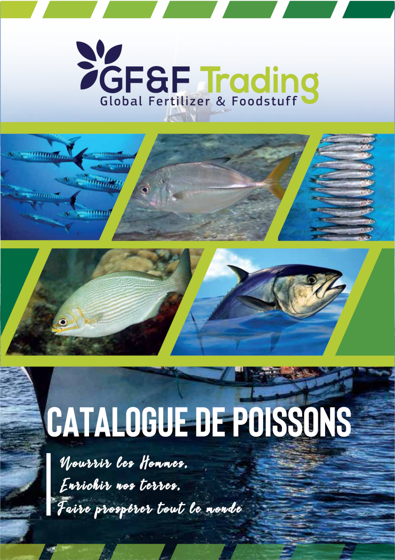 Catalogue Poissons